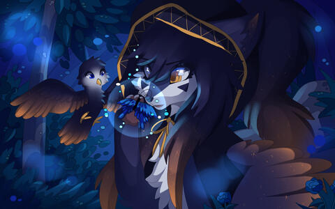 full_2